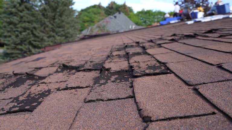Best Roof Insulation Installation  in St Clair Shores, MI