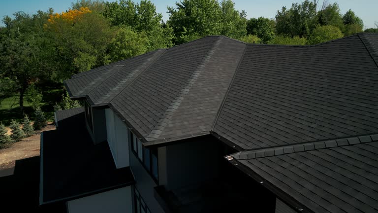 Skylights in St Clair Shores, MI