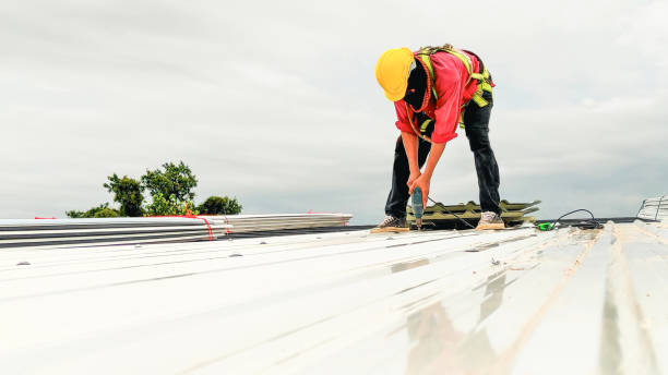 Best Roof Moss and Algae Removal  in St Clair Shores, MI
