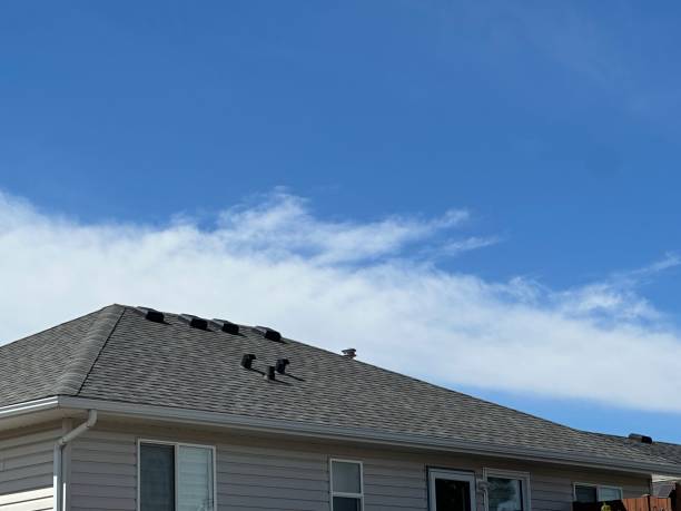 Best Solar Panel Roofing Installation  in St Clair Shores, MI